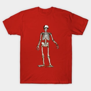 Anatomy Skeleton T-Shirt